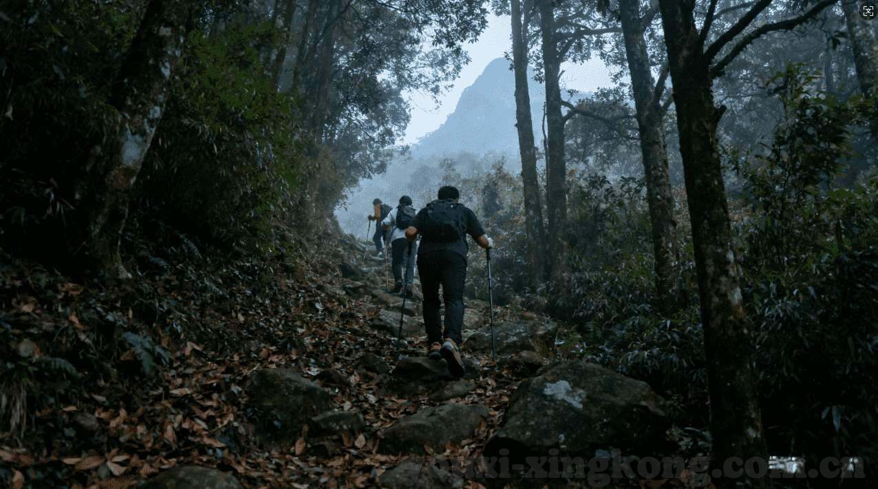 星空体育官网登录首页-星空体育官网登录首页，一场运动时髦生活的开场白